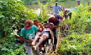 Polisi Selidiki Kasus Tewasnya Terduga Pencuri kelapa Sawit di Nagan Raya