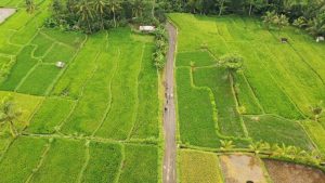 Geotrail Mission Run 2021, Bangkitkan Gairah Sport Tourism di Lombok Yang Sangat Menjanjikan