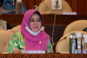 Rencana Impor Beras Bikin Harga Gabah Turun dan Kelebihan Stok Beras Nasional