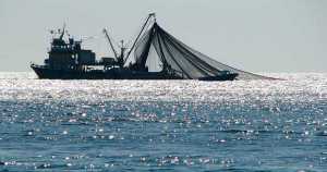 Petugas KKP Tangkap Empat Kapal Ikan Cantrang di Selat Makassar