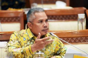 BKSAP Sebut Diplomasi Parlemen yang Dijalankan Merupakan Second Track Diplomation