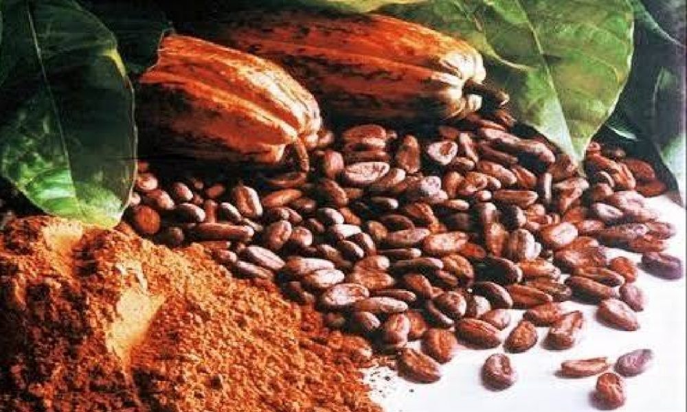 Kemendag: Periode Maret Harga Referensi CPO Naik dan Biji Kakao Turun
