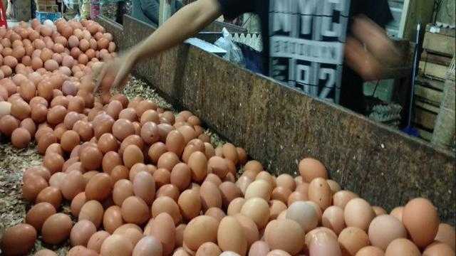 Telur, Peternak dan Pedagang Telur, Harga Telur