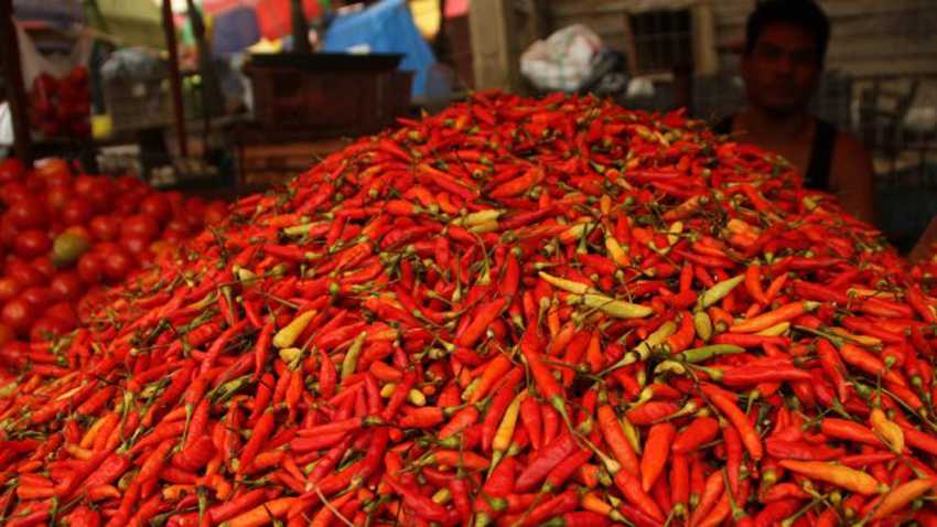 Cabai Rawit, Harga Cabai