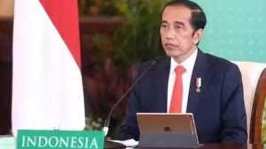 Jokowi Minta Hasil Produk UMKM Ditempatkan di Etalase Terdepan Mall
