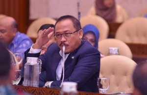 Dewan Minta Alokasi ABT KLHK Tak Cuma Fokus Pada Rehabilitasi Mangrove