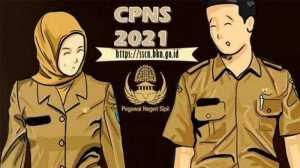 Ini Aturan dan Tahapan Seleksi CPNS 2021