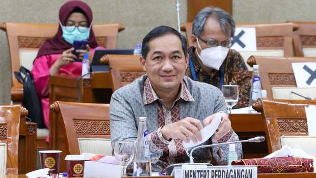 Indonesia Dapat Kabar Baik dari India, Ini Penjelasan Mendag