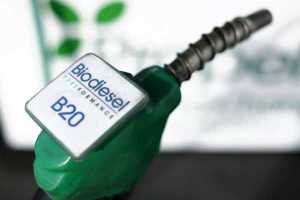 Juni Ini, Harga Biodiesel Naik Jadi Rp11.034 per Liter