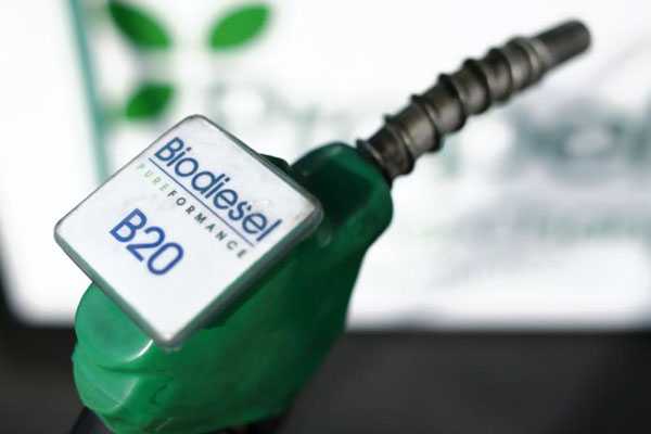 Juni Ini, Harga Biodiesel Naik Jadi Rp11.034 per Liter