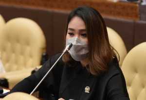 Sediakan Program Lahan Tanpa Bakar, DPR Apresiasi Menteri LHK