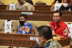 DPD RI Harapkan RUU Otsus Papua Berikan Kesejahteraan Dan Keadilan Bagi Papua