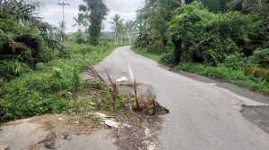 Ruas Jalan Menuju Negeri di Atas Awan Lebak Terputus