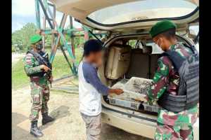 Sebanyak 150 Burung Kecer dari Malaysia Diselundupkan ke Indonesia