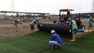 Jakpro Mulai Uji Coba Pemasangan Rumput Lapangan Utama JIS