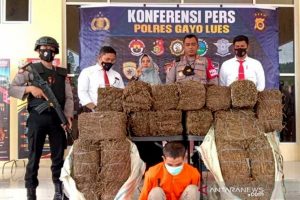 Peredaran 110 Kilogram Ganja di Aceh Berhasil Digagalkan