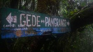 Gempa Vulkanik Meningkat, Jalur Pendakian Gunung Gede-Pangrango Ditutup Hingga Pekan Depan