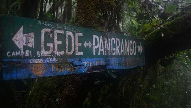 Kembali Dibuka, Pendaki Gunung Gede Pangrango Wajib Tunjukan Surat Vaksin