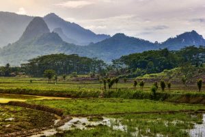 Madiun Kembangkan Desa Kare untuk Jalur Pendakian Gunung Wilis