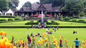 Kawasan Puncak Bogor Ingin Dihijaukan Lagi