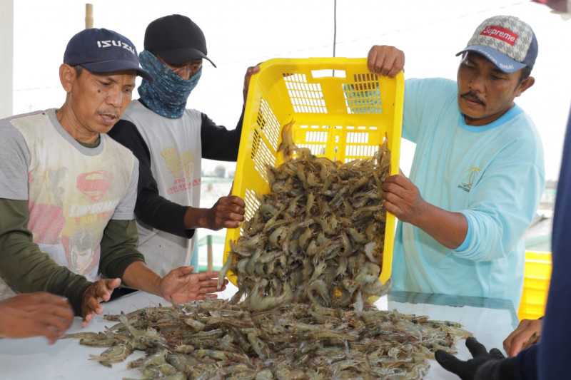 Penangkapan Ikan, KKP