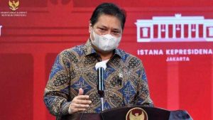 Airlangga Klaim Indonesia Bisa Lepas dari Krisis Energi Dunia Lewat Green Energy