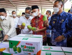 Dongkrak Ekspor, Menkop Lepas Pengiriman Mangga Gresik ke Singapura