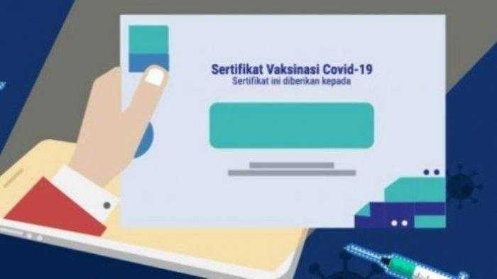sertifikat
