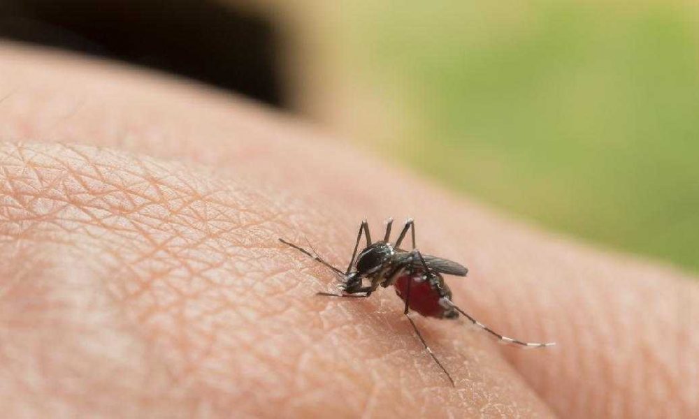 RSUD Raden Mattaher, Meninggal Dunia, Demam Berdarah, Demam Berdarah Dengue, 610 Kasus, DBD, Demam Berdarah