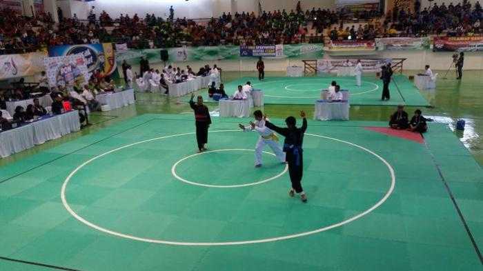 Pencak Silat, IPSI, Olahraga Bela Diri