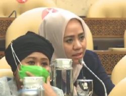 Alien Mus Soroti Alih Fungsi Lahan yang Picu Bencana