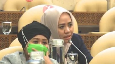 Alien Mus Soroti Alih Fungsi Lahan yang Picu Bencana