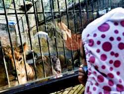 PPKM Level 3, Pemkab Garut Mulai Uji Coba Pembukaan Objek Wisata