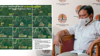 Kementerian LHK Jelaskan Soal Foto Satelit NASA Tahun 2001 dan 2019