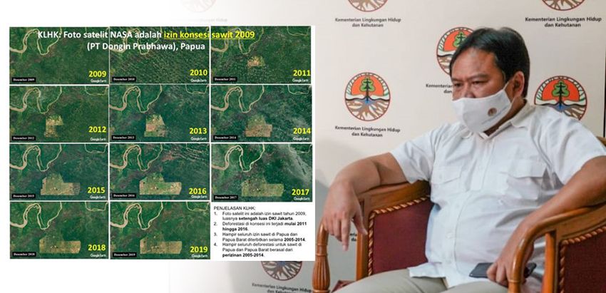Kementerian LHK Jelaskan Soal Foto Satelit NASA Tahun 2001 dan 2019