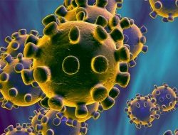 Kamboja Deteksi Kasus Pertama Virus Omicron