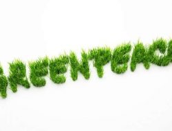 Tak Mau Dipolitisir, Pelapor Greenpeace Cabut Laporan