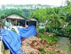 Perumahan PTPN XII di Jember Terancam Longsor karena Diding Penahan Ambrol Tergerus Air