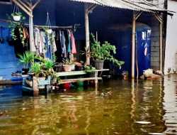 Banjir Rob Rendam Rumah Warga di Pesisir Tangerang