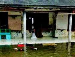 Ratusan Rumah Warga di Pesisir Karawang Terendam Banjir Rob
