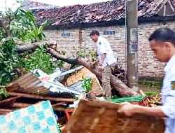 Ratusan Rumah di Tiga Desa Kabupaten Madiun Rusak Akibat Diamuk Angin Kencang