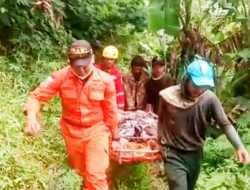Dua Orang Jatuh ke Jurang di Sukamtri Ciamis, Begini Kondisinya!
