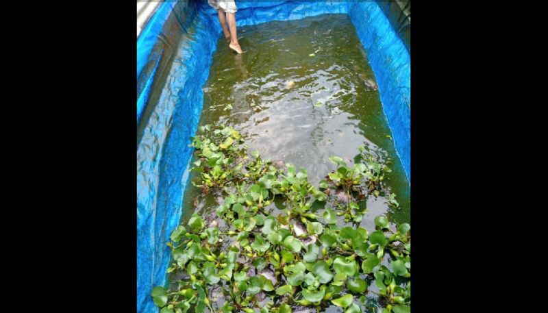 Pemkab Bangka Tengah Bangun 2 Unit Pembenih Ikan Tawar