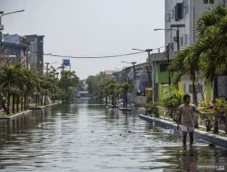 BPBD DKI Ingatkan Warga Waspadai Potensi Banjir Rob di Pesisir Jakarta