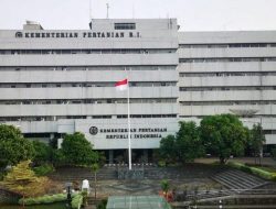 Kementan Bakal Integrasikan Fungsi dan Tugas BKP ke Badan Pangan Nasional