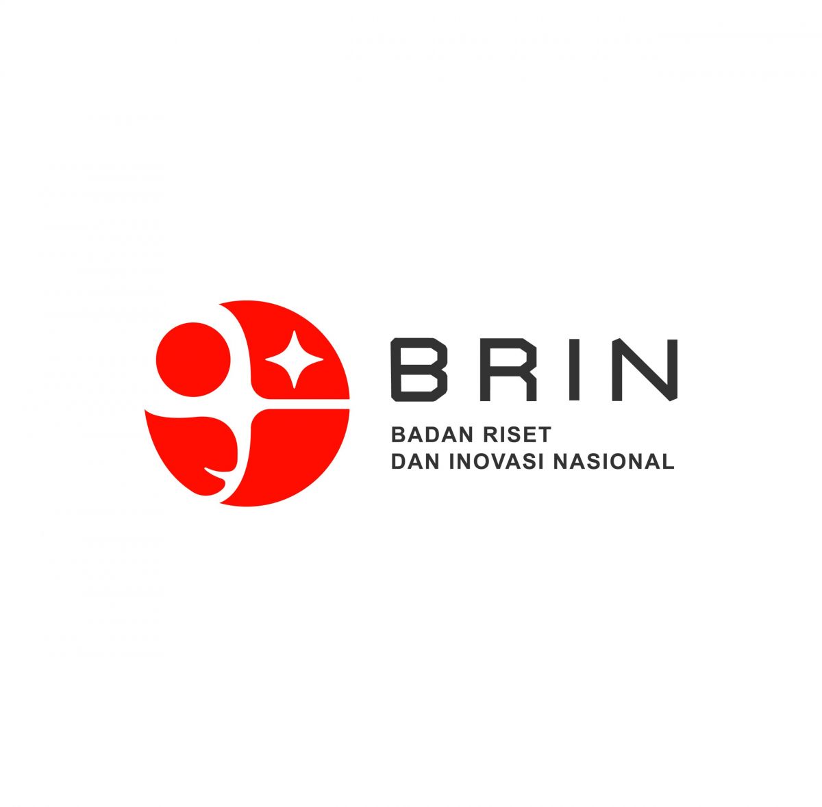 BRIN