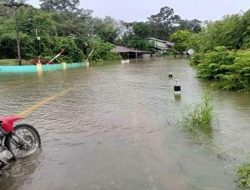 Curah Hujan Tinggi, Empat Kecamatan di Kapuas Hulu Terendam Banjir