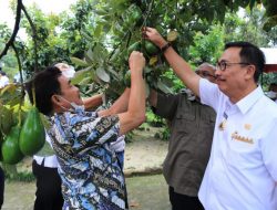 LPDB Dorong Koperasi Sektor Riil Jadi Agregator Anggotanya