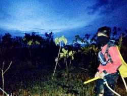 Titik Panas Terpantau di Penajam Paser Utara