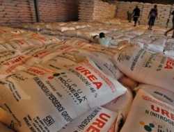 Dittipideksus Ungkap Penyalahgunaan Pupuk Subsidi